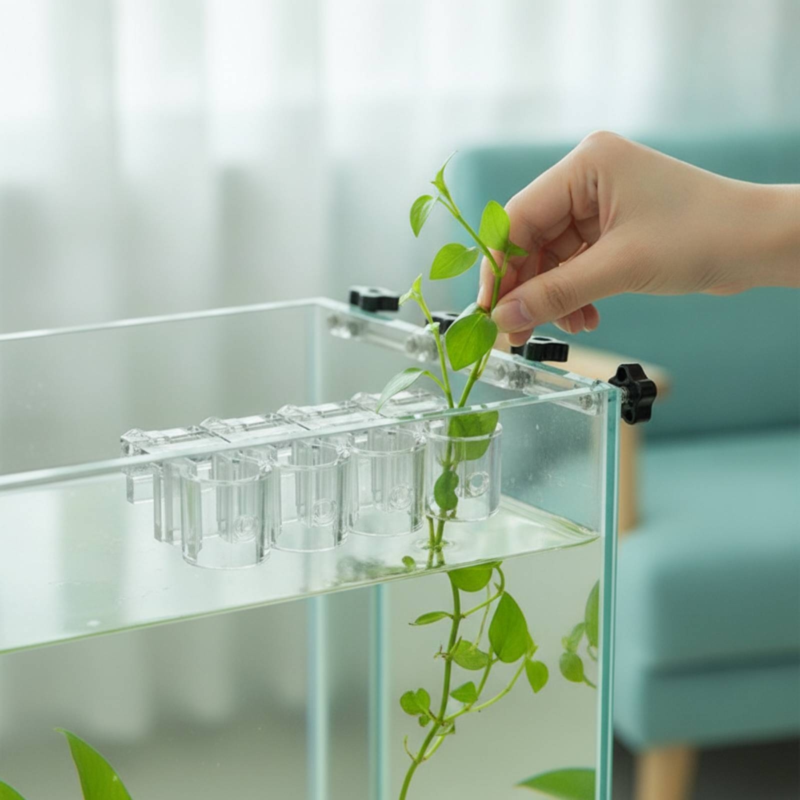 Aquarium Planted Aquarium - 6 Pieces Aquarium Planter Clear Hydroponic