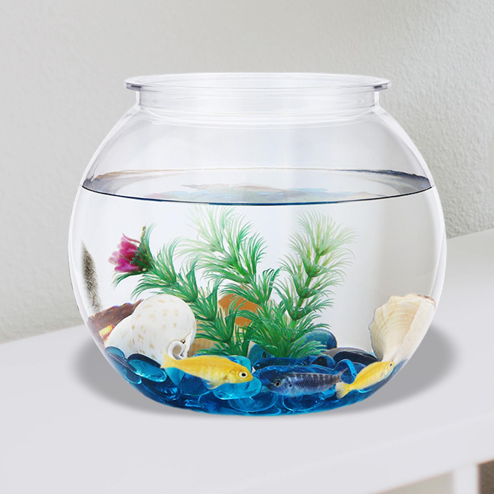 Planted Aquarium Bowl - Transparent Small Fish Tank Decorative DIY