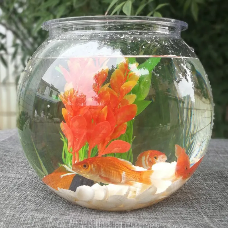Planted Aquarium Bowl - Goldfish bowl desktop transparent plastic aquarium