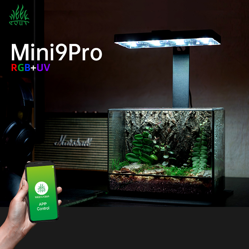 Aquarium Plants For Sale - Hot Sale Mini9pro Nano Terrarium Light