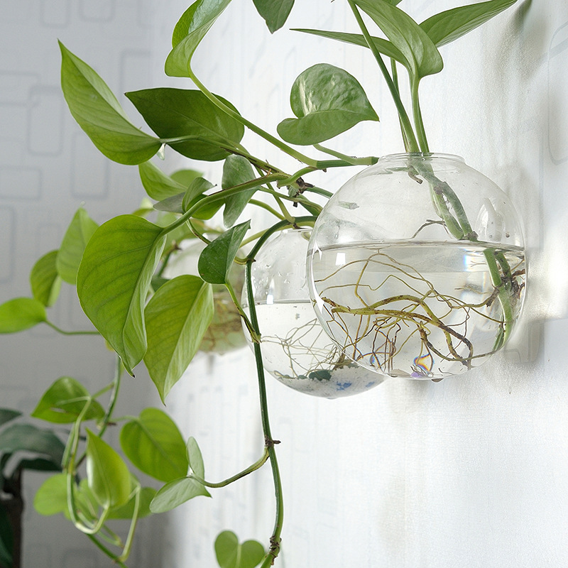 Planted Aquarium Bowl - Wall Hanging Acrylic Fish Bowl Plexiglass