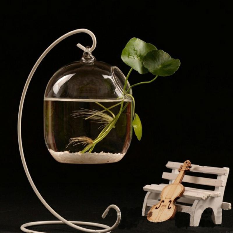 Planted Aquarium Bowl - 62KD Suspended Transparent Hanging Glass Fish