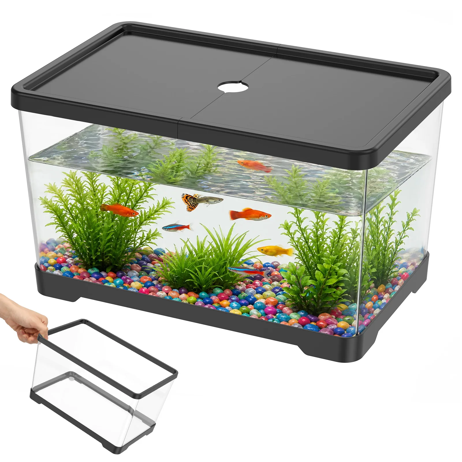 Planted Aquarium Bowl - Transparent Fish Tank Aquarium with cover