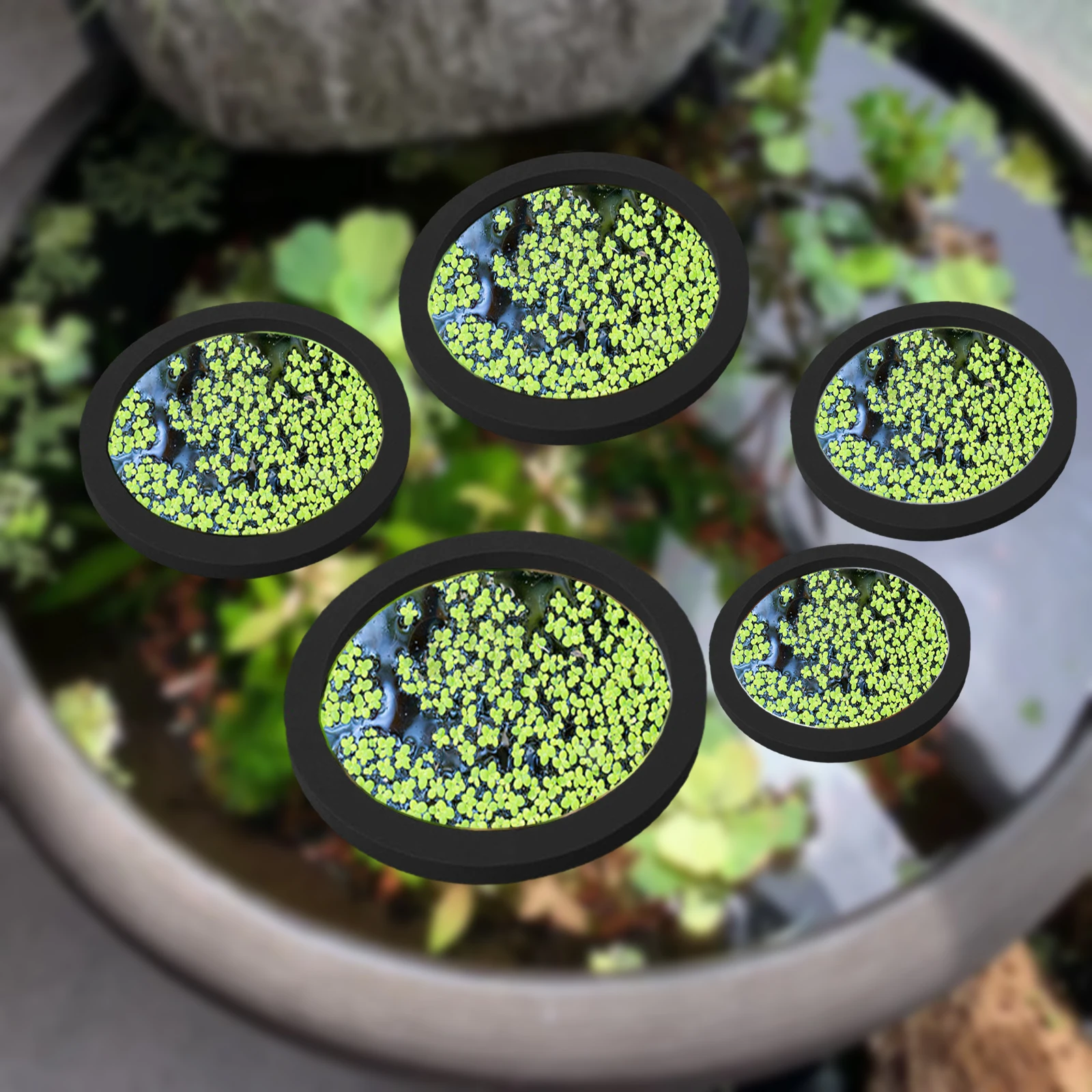 Aquarium Planted Aquarium - 5Pcs EVA Fish Feeding Ring Aquarium