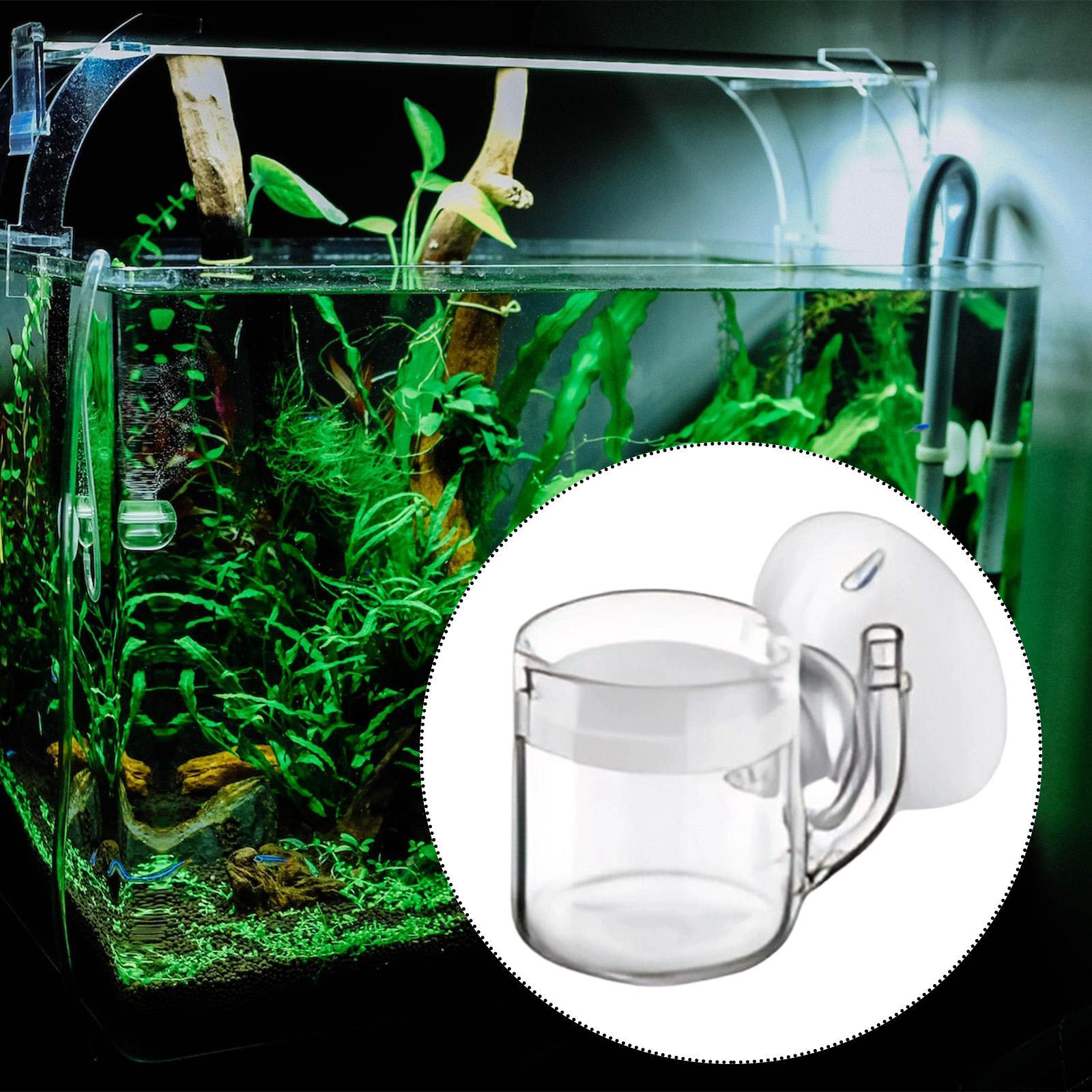 Aquarium Diffuser Glass CO2 Sy - огляд і ціна Planted Aquarium Co2 Kit