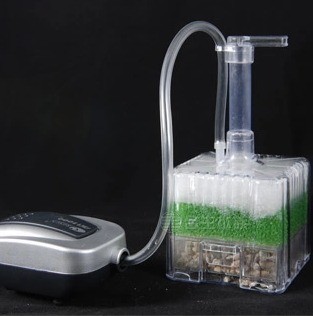 xinyou xy-2011 Fish Tank Aquar - огляд і ціна Aquarium Plant Ideas