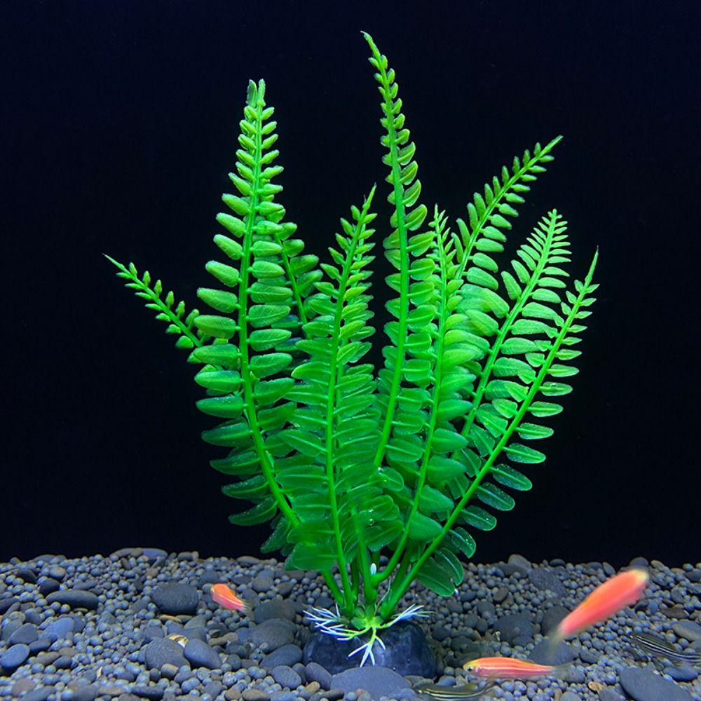 Fish Tank Ornament Plant Aquar - огляд і ціна Planted Aquarium Bowl