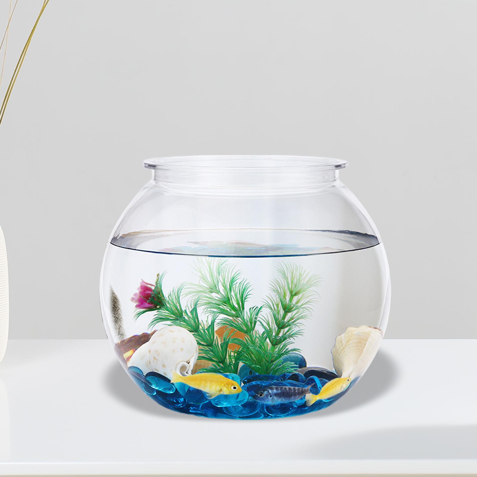Transparent Small Fish Tank De - огляд і ціна Planted Aquarium Bowl