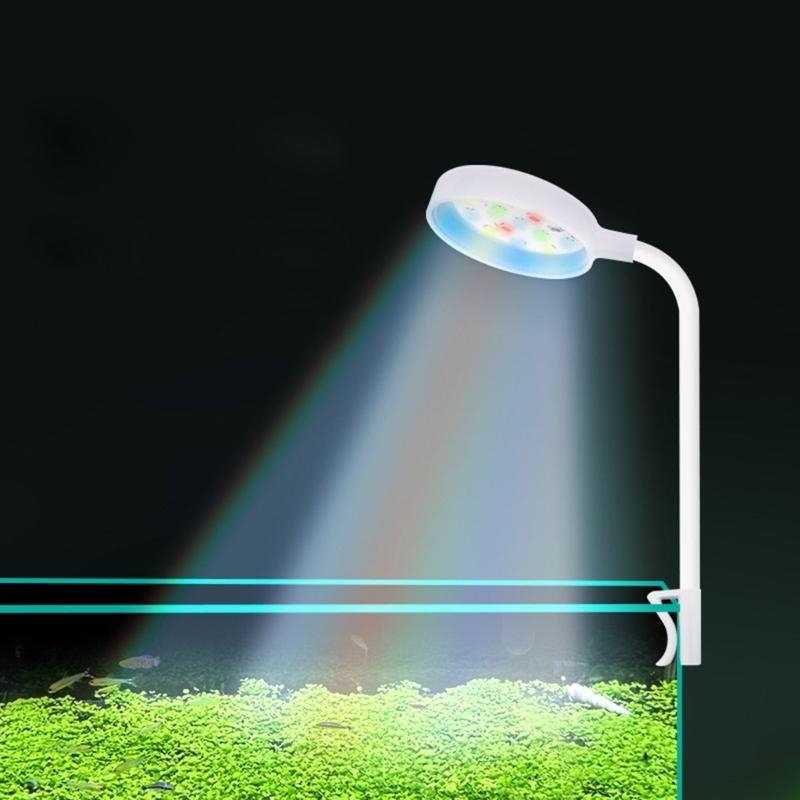 Small Aquarium Fish Bowl LED L - огляд і ціна Planted Aquarium Bowl