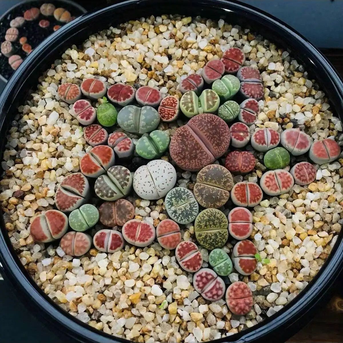 1pc-250g Natural Crystals Grav - огляд і ціна Aquarium Plant Gravel