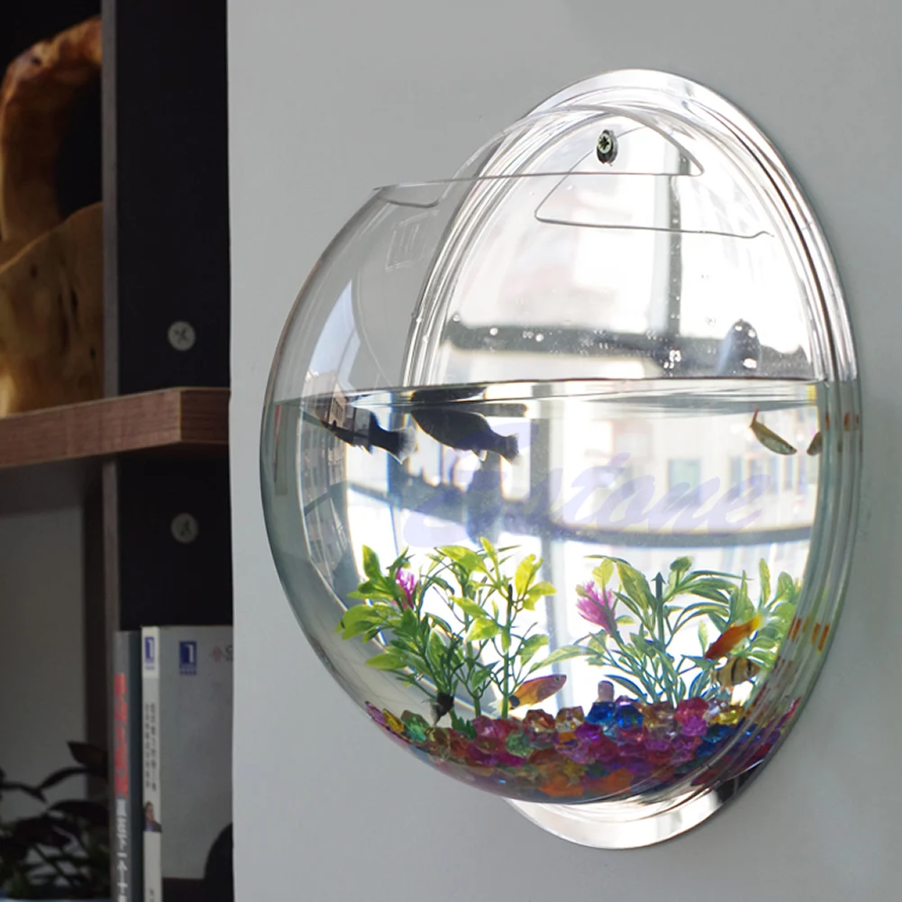 Wall Mounted Acrylic Fish Bowl - огляд і ціна Planted Aquarium Bowl