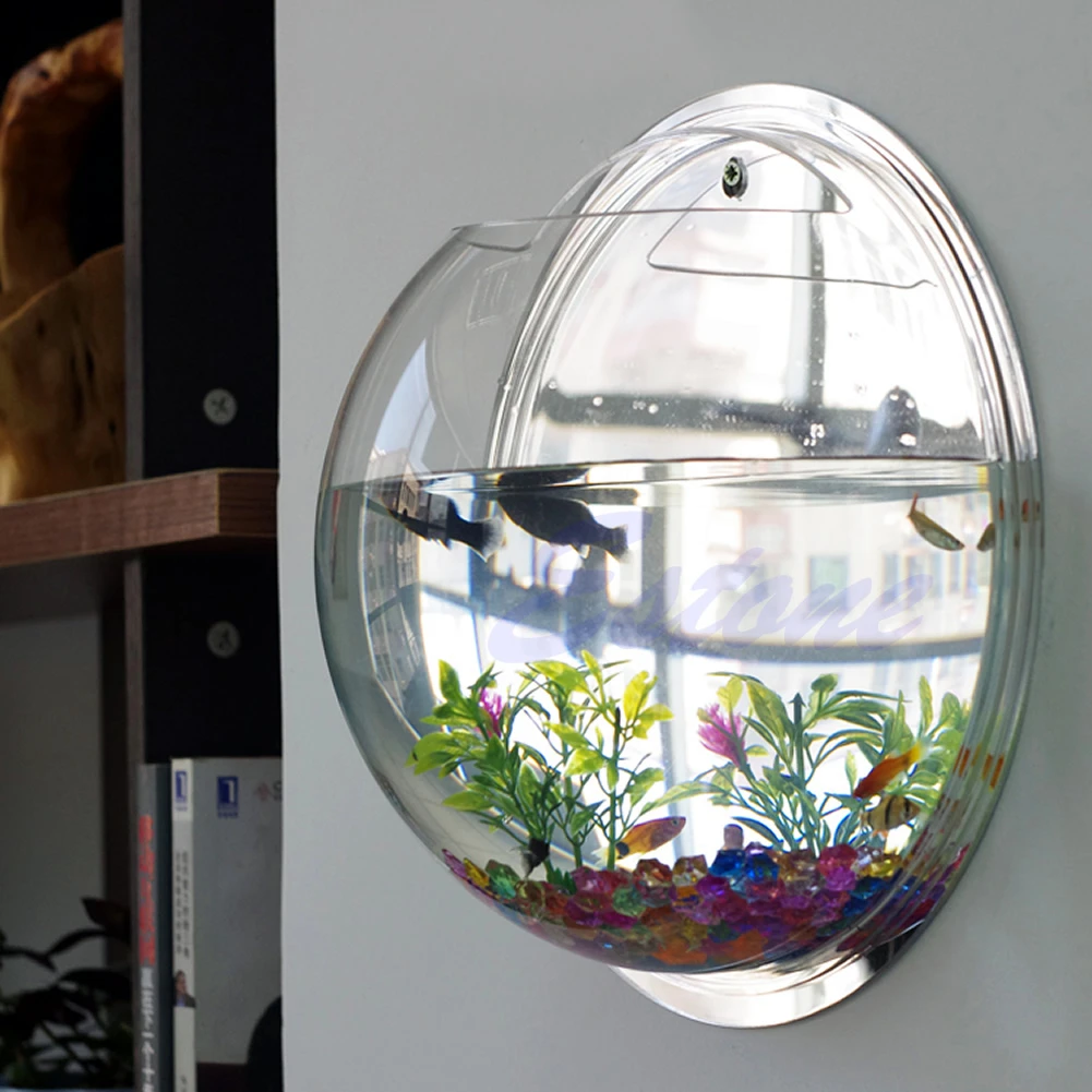 Wall Mounted Acrylic Fish Bowl - огляд і ціна Planted Aquarium Bowl