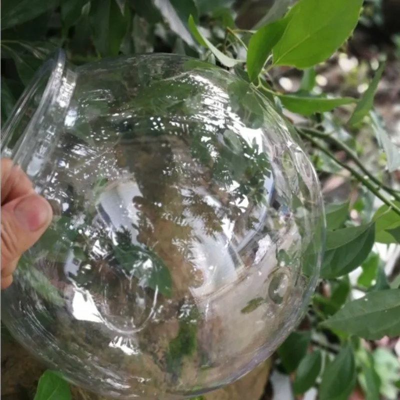 Goldfish bowl desktop transpar - огляд і ціна Planted Aquarium Bowl