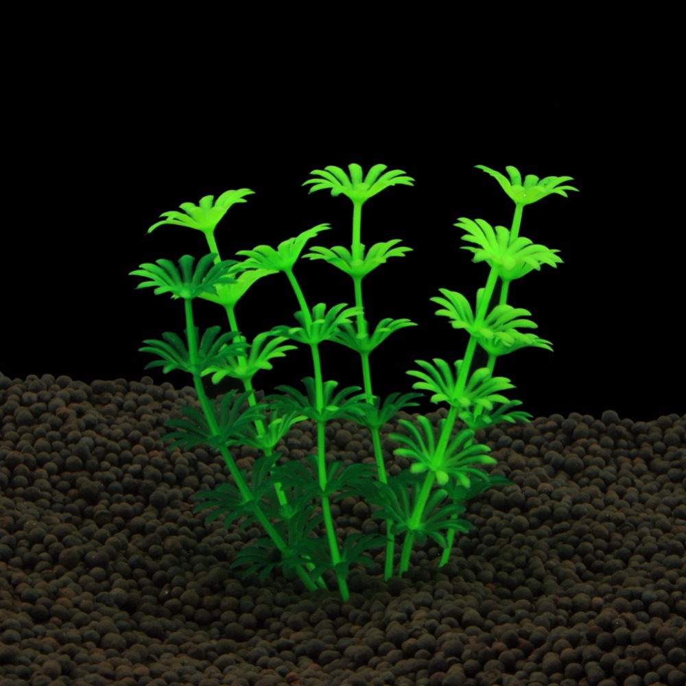 Fish Tank Ornament Plant Aquar - огляд і ціна Planted Aquarium Bowl