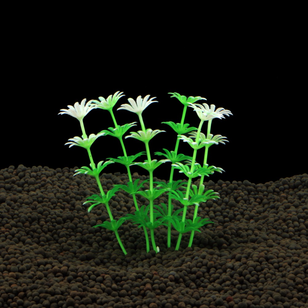 Fish Tank Ornament Plant Aquar - огляд і ціна Planted Aquarium Bowl