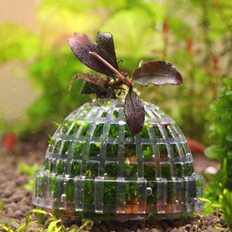 Hot Sale Aquatic Pet Supplies  - огляд і ціна Aquarium Plants For Sale