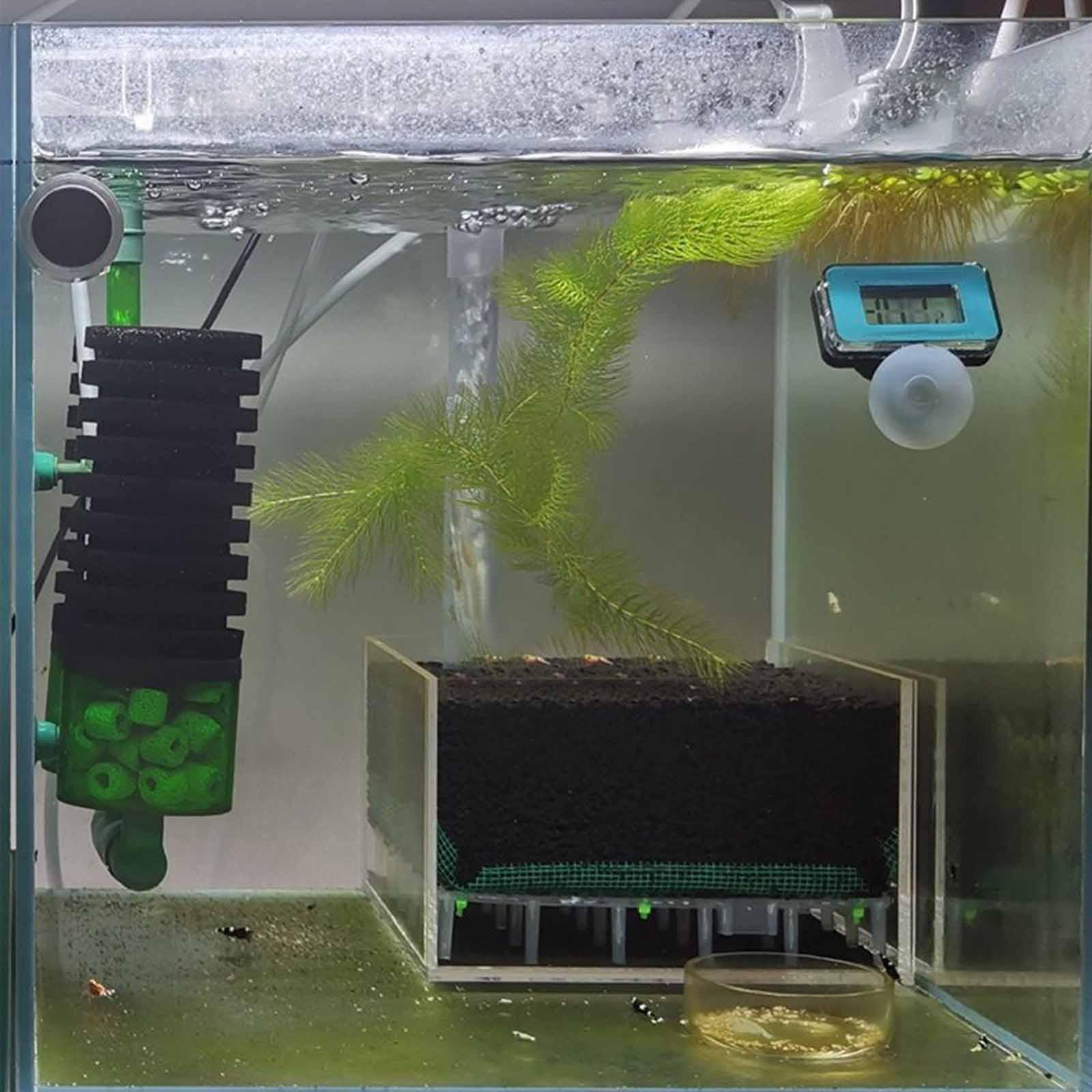 Acrylic Shrimp Fish Tank Filte - огляд і ціна Aquarium Plant Gravel