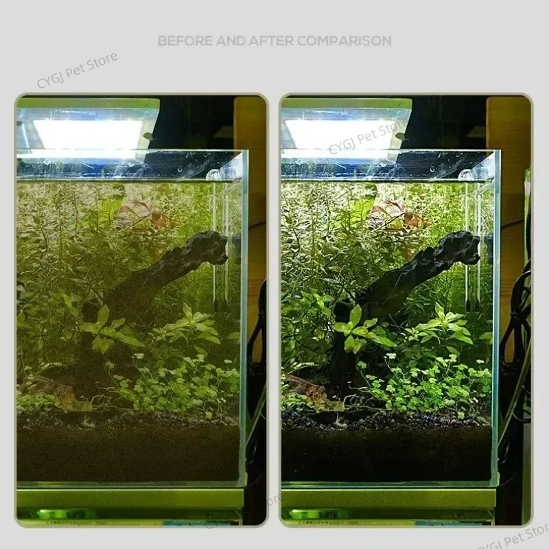 Fish Tank Cleaning Tool Flat S - огляд і ціна Planted Aquarium Tools