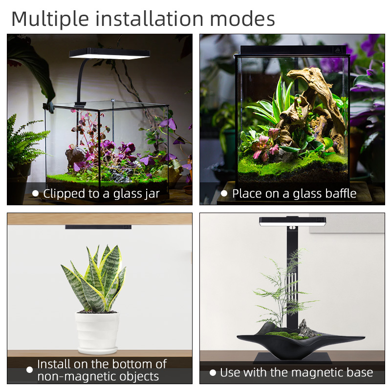 Hot Sale Mini9pro Nano Terrari - огляд і ціна Aquarium Plants For Sale