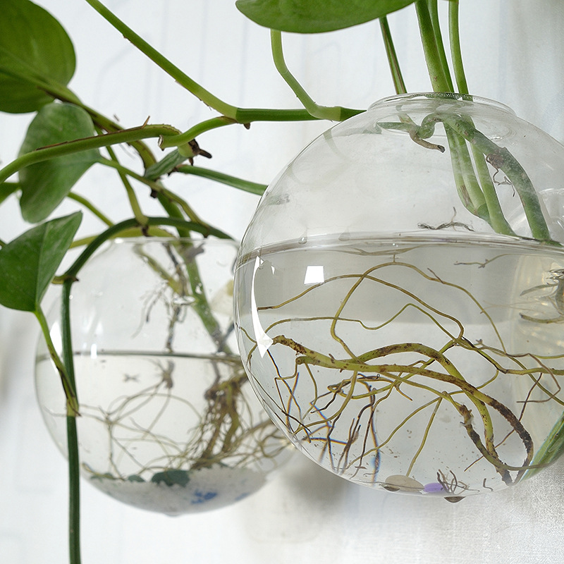 Wall Hanging Acrylic Fish Bowl - огляд і ціна Planted Aquarium Bowl