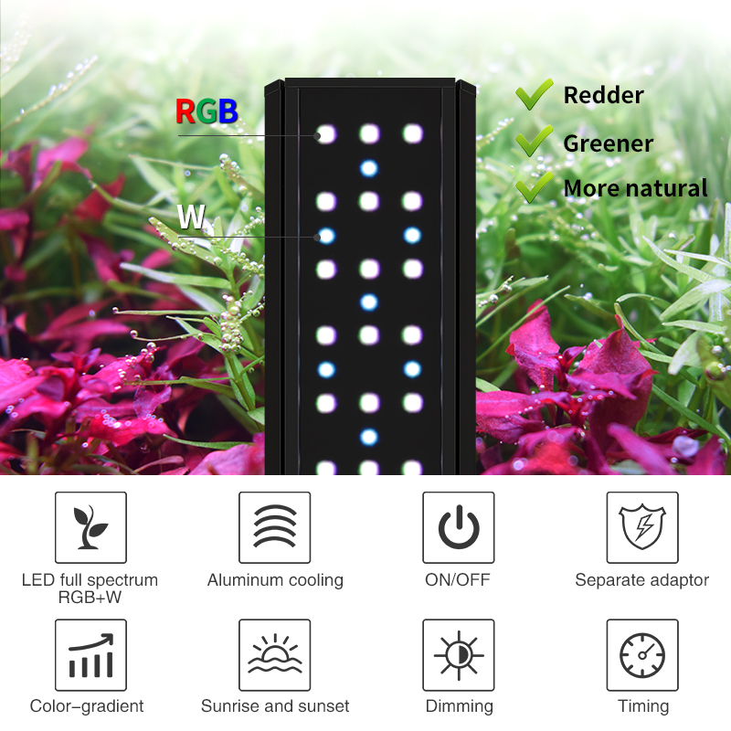 ZXY Hot Sale WEEKAQUA V400 WRG - огляд і ціна Aquarium Plants For Sale