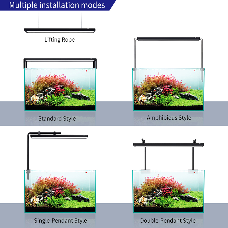 ZXY Hot Sale WEEKAQUA V400 WRG - огляд і ціна Aquarium Plants For Sale