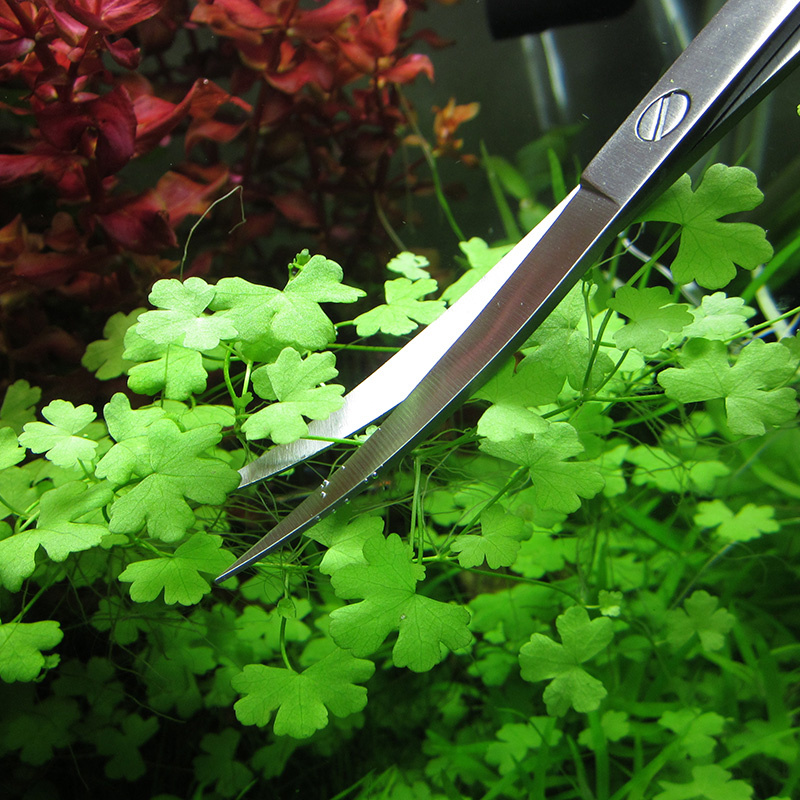Aquarium Accessories Hard Stai - огляд і ціна Planted Aquarium Tools