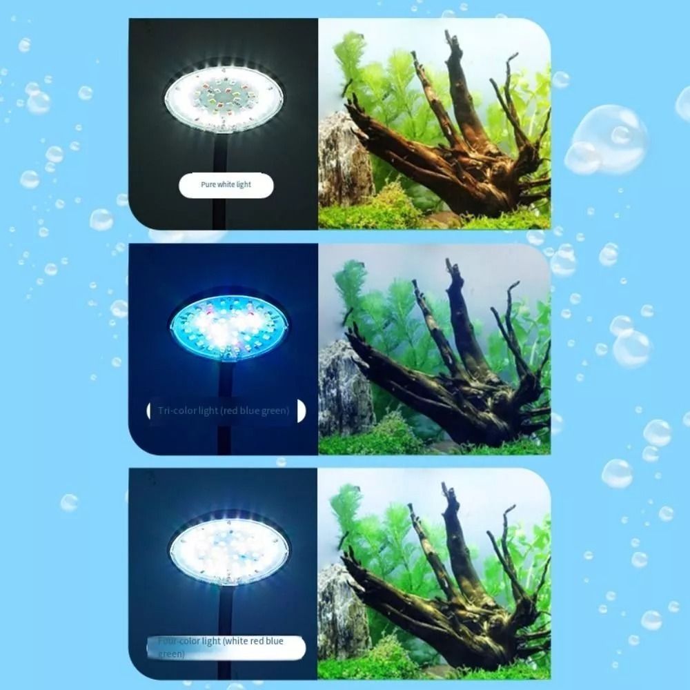 New Mini Fish Tank Clip Lamp 5 - огляд і ціна Planted Aquarium Mini