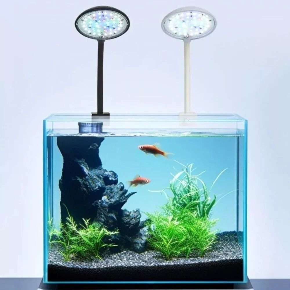 New Mini Fish Tank Clip Lamp 5 - огляд і ціна Planted Aquarium Mini