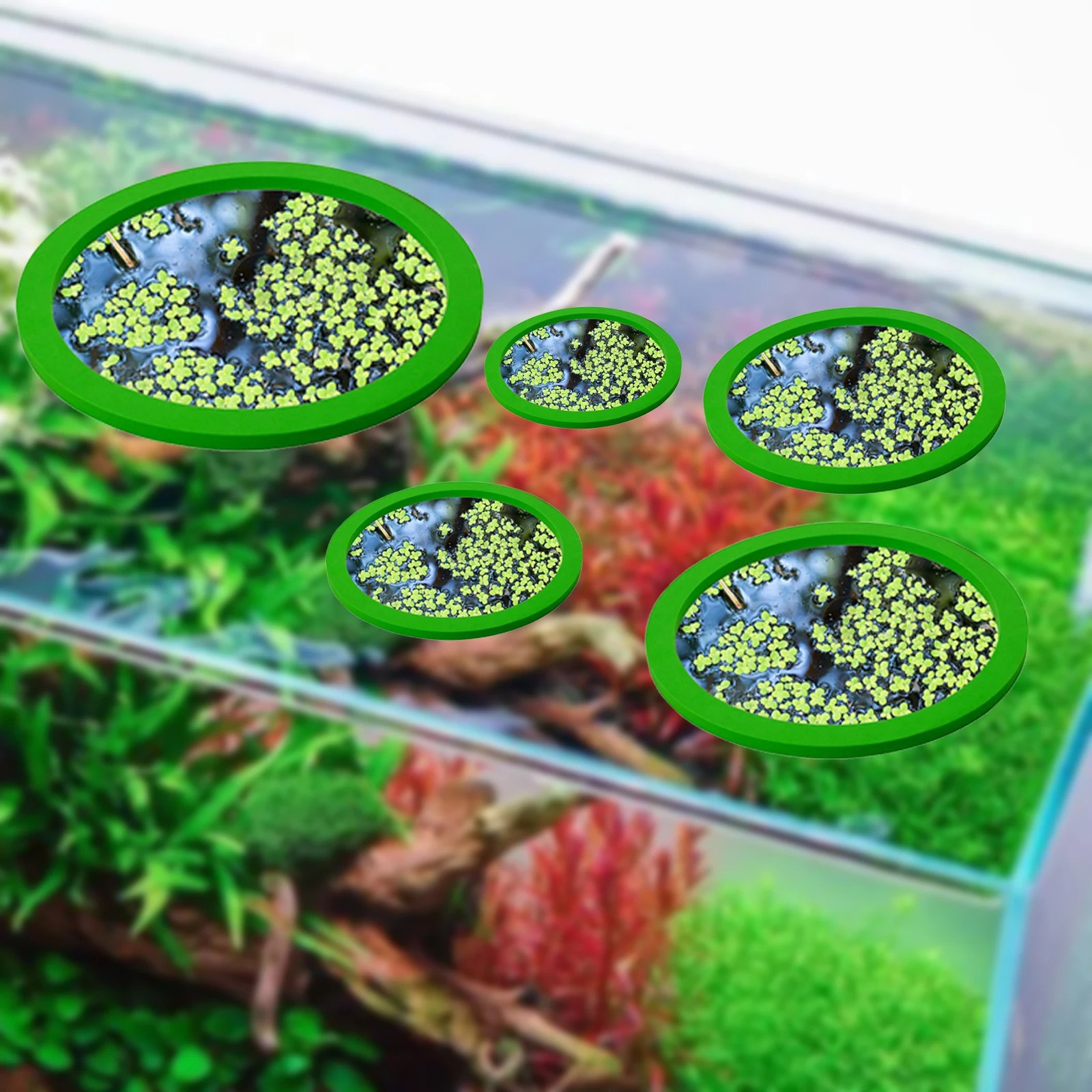 5Pcs EVA Fish Feeding Ring Aqu - огляд і ціна Aquarium Planted Aquarium