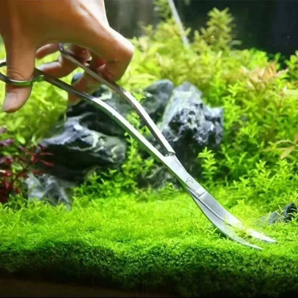 1Pcs Stainless Steel Aquarium  - огляд і ціна Planted Aquarium Tools