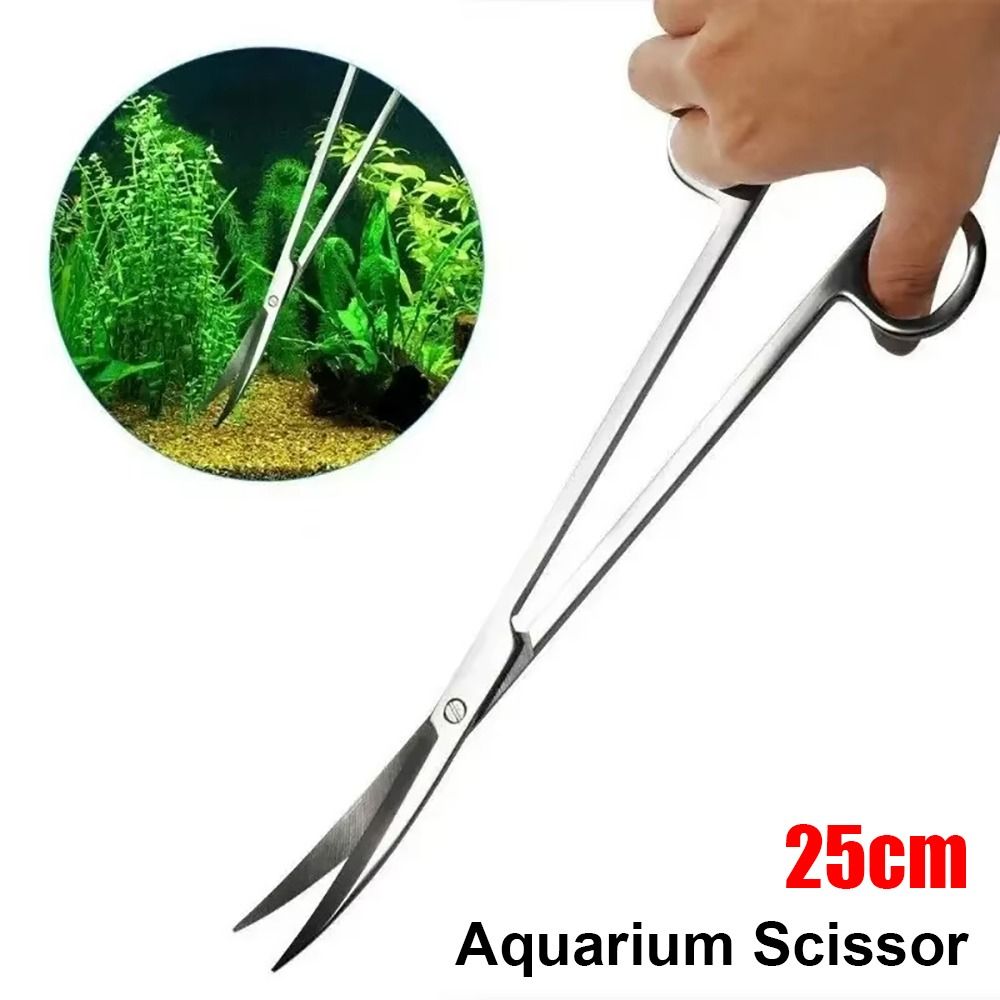 1Pcs Stainless Steel Aquarium  - огляд і ціна Planted Aquarium Tools