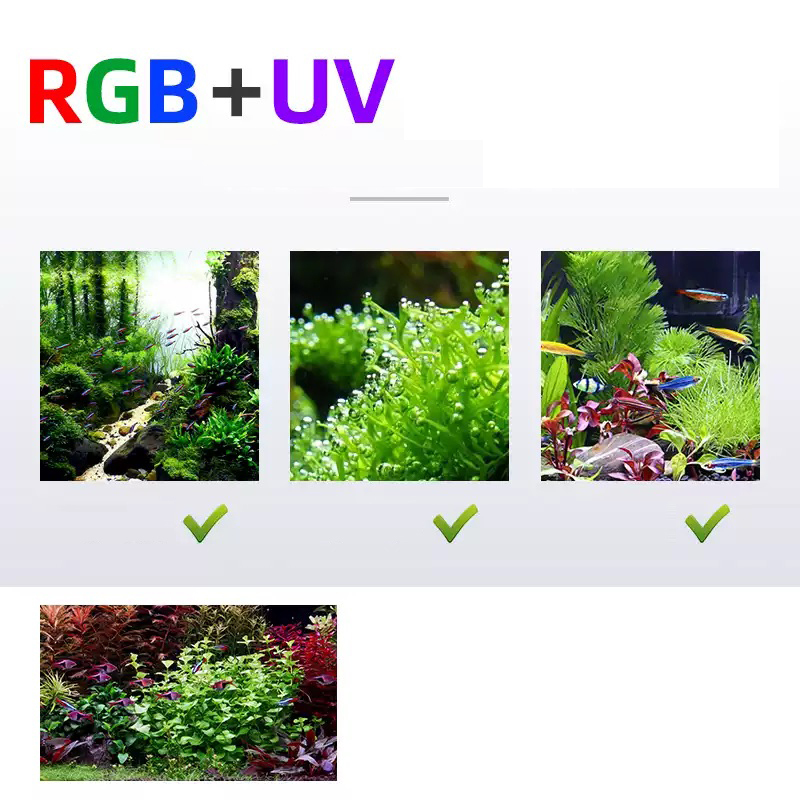 Led Lighting 60cm 80cm 90cm RG - огляд і ціна Aquarium Plants For Sale