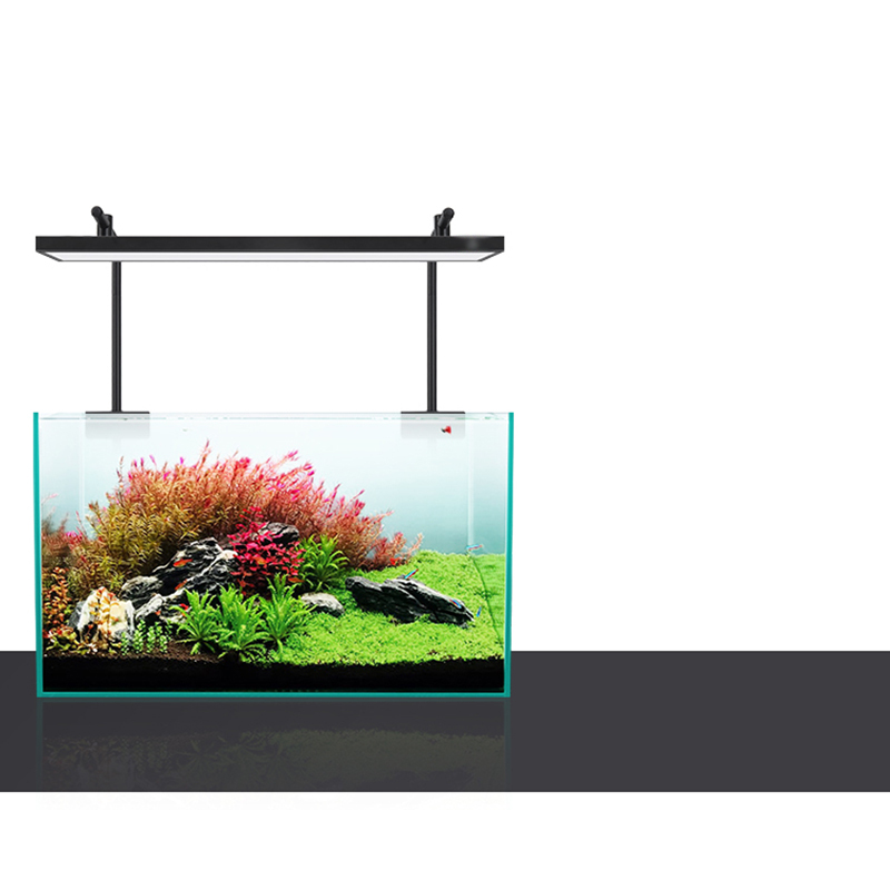 Led Lighting 60cm 80cm 90cm RG - огляд і ціна Aquarium Plants For Sale