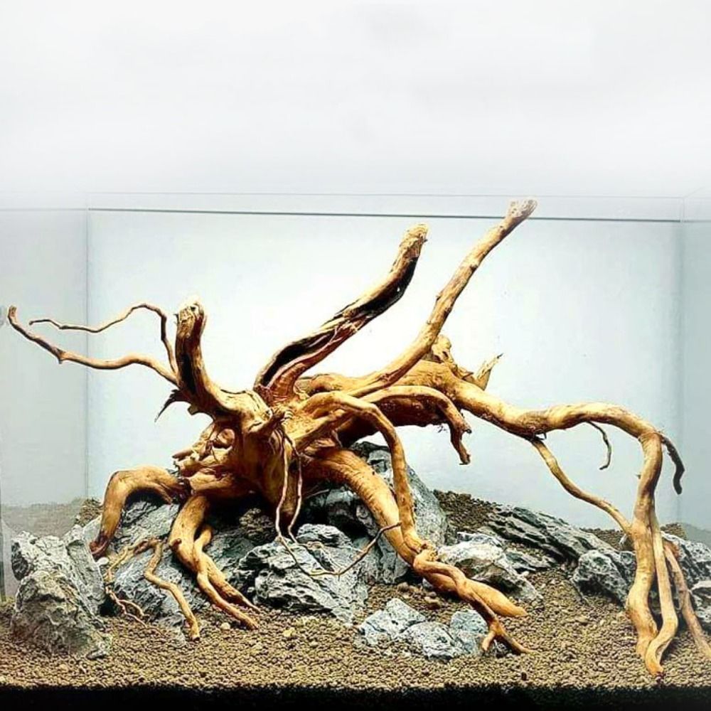 20-25CM Large Aquarium Driftwo - огляд і ціна Planted Aquarium Bowl
