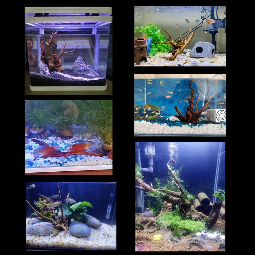 20-25CM Large Aquarium Driftwo - огляд і ціна Planted Aquarium Bowl