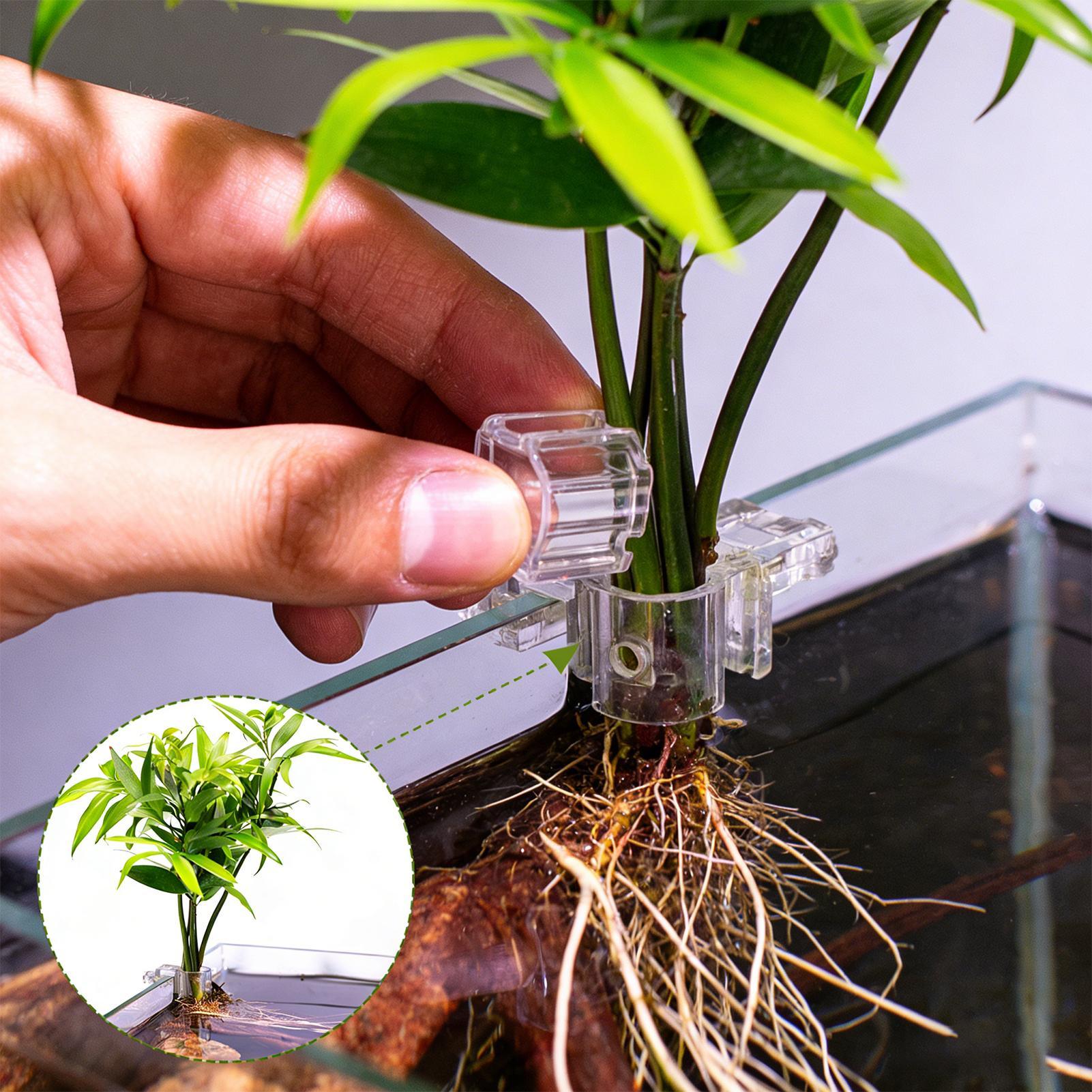 Mini Fish Tank Planter Pot 6Pc - огляд і ціна Planted Aquarium Mini
