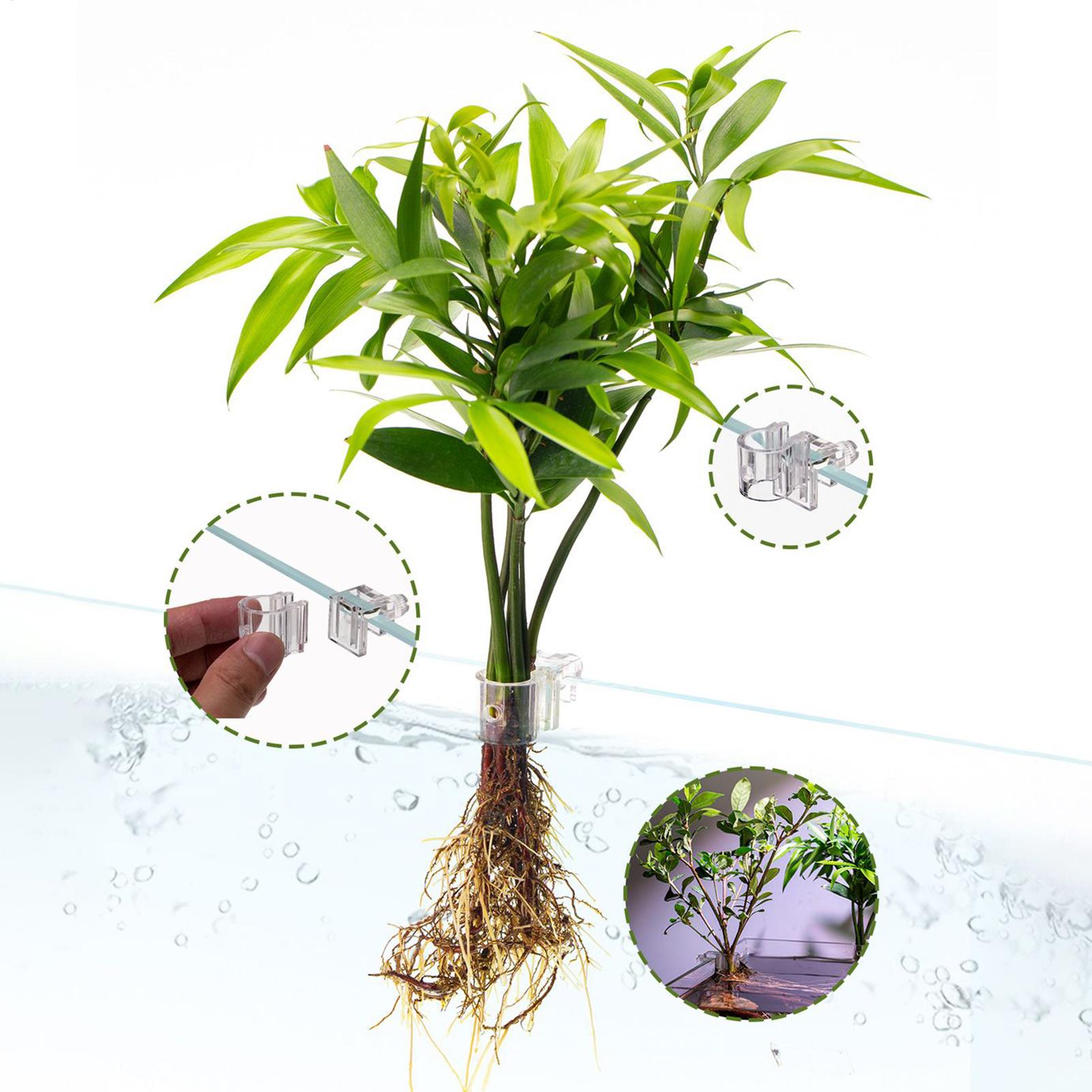 Mini Fish Tank Planter Pot 6Pc - огляд і ціна Planted Aquarium Mini