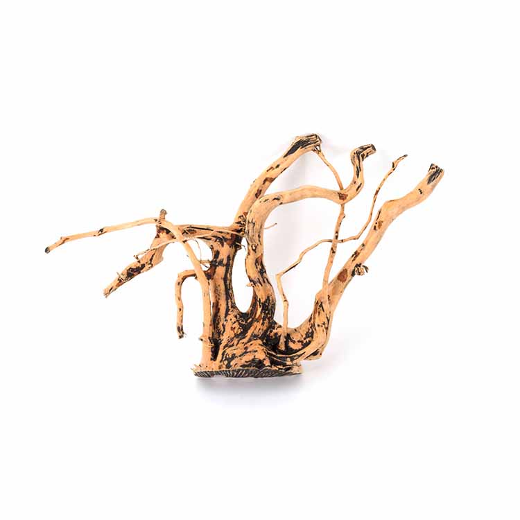 Wholesale Hot Sale Natural Dec - огляд і ціна Aquarium Plants For Sale