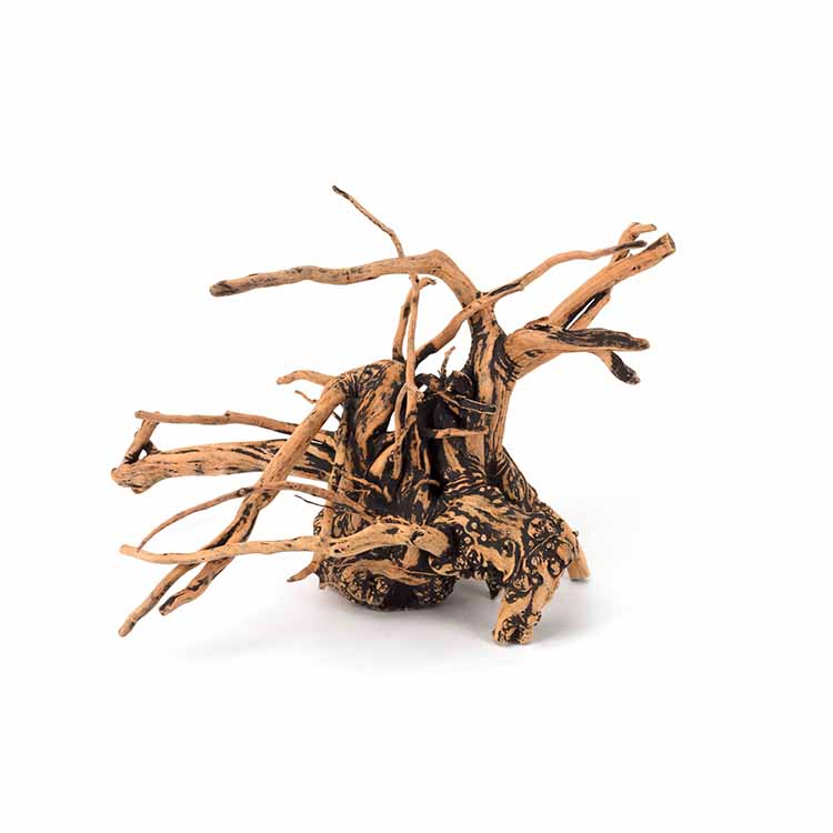 Wholesale Hot Sale Natural Dec - огляд і ціна Aquarium Plants For Sale
