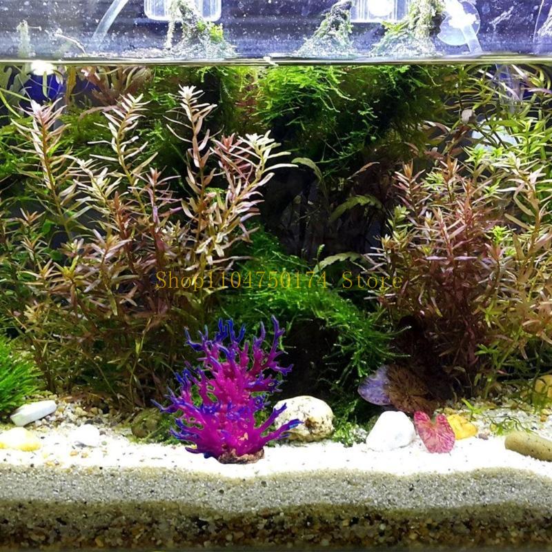 Artificial Water Plant Aquariu - огляд і ціна Aquarium Plants For Sale