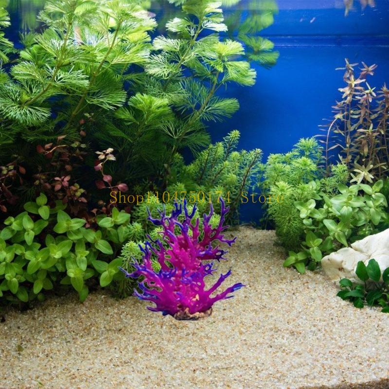 Artificial Water Plant Aquariu - огляд і ціна Aquarium Plants For Sale