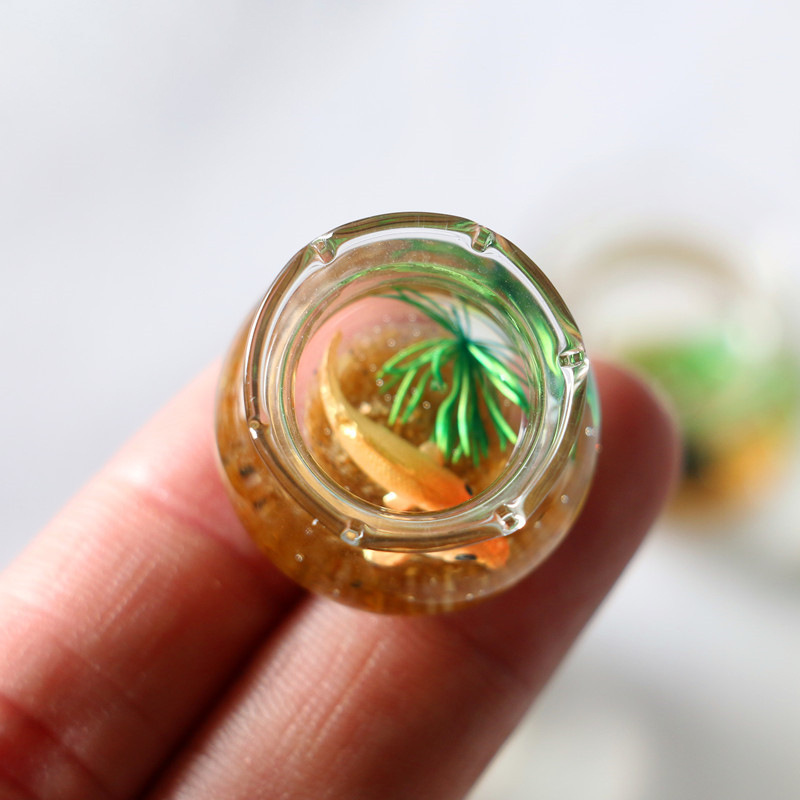 1Pc 1:12 Mini DollHouse Simula - огляд і ціна Planted Aquarium Photos