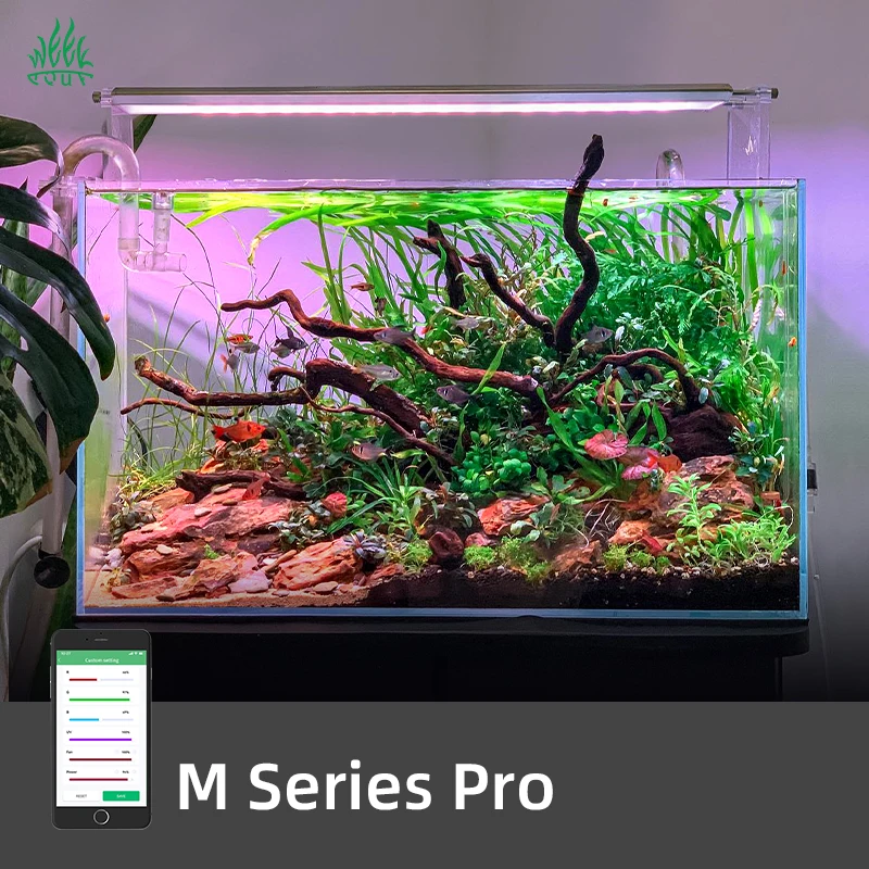 ZXY Hot Sales WEEK AQUA M1200P - огляд і ціна Aquarium Plants For Sale