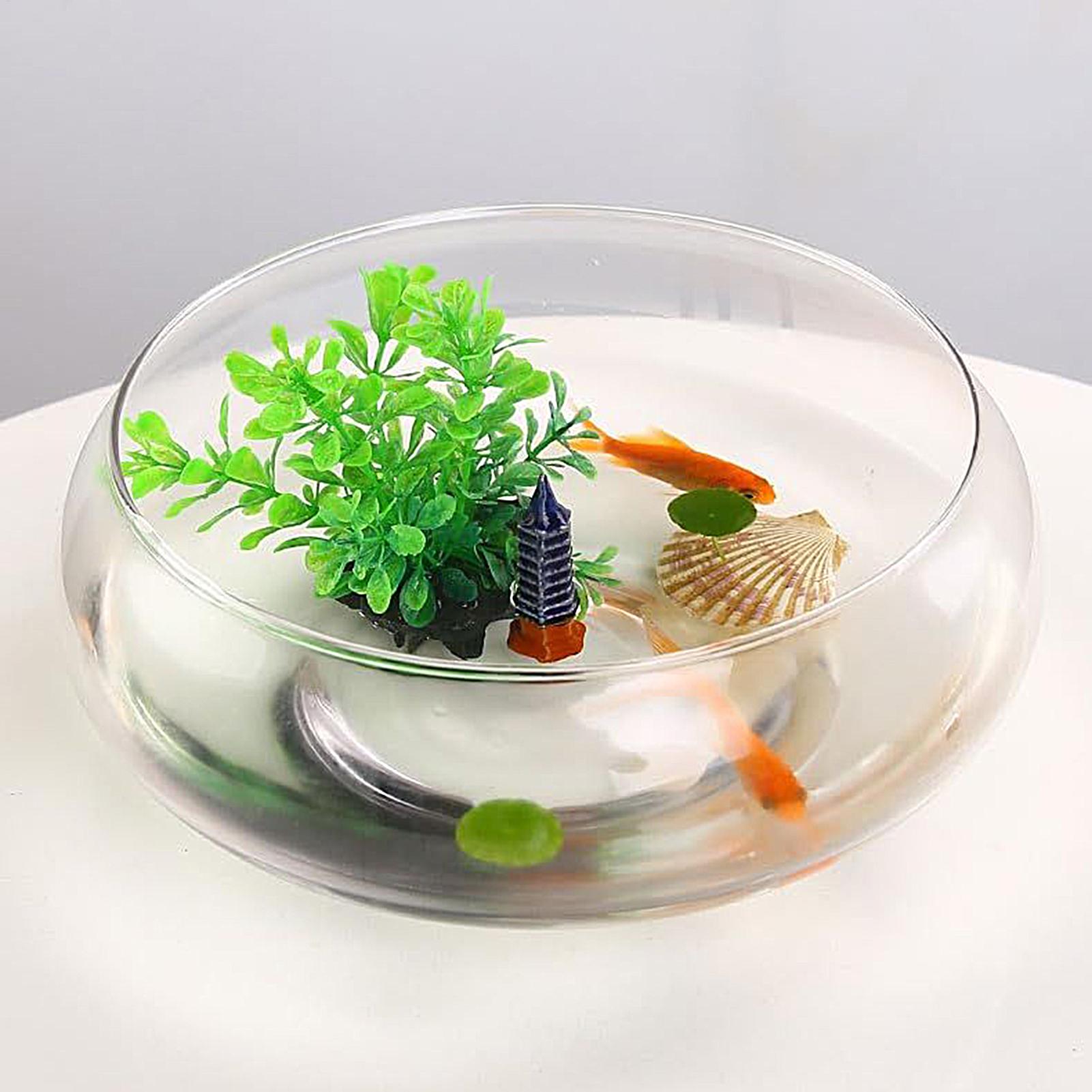 Fish Glass Bowl Glass Large Hy - огляд і ціна Planted Aquarium Bowl