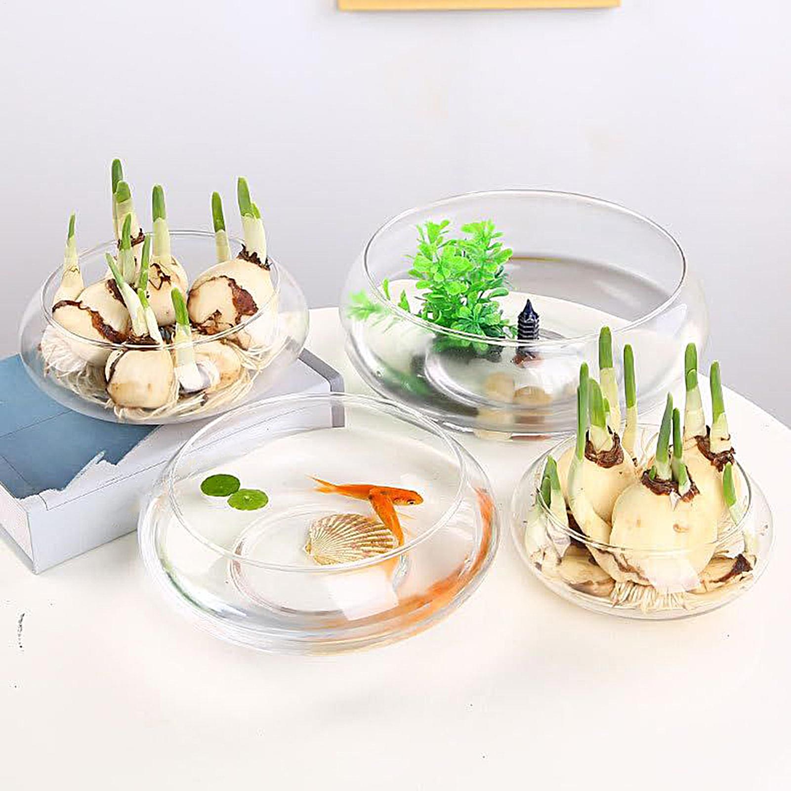 Fish Glass Bowl Glass Large Hy - огляд і ціна Planted Aquarium Bowl