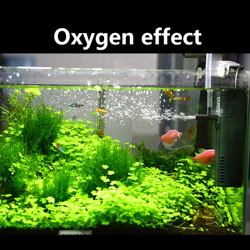 SUNSUN mini nano 111B 311B 611 - огляд і ціна Planted Aquarium Mini